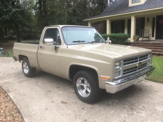 1985 Tan Chevrolet C-10 Standard Cab Pickup