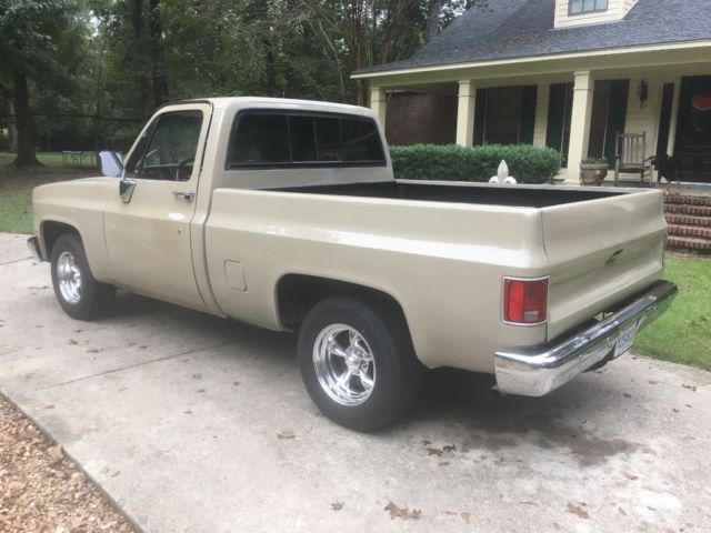 1985 Tan Chevrolet C-10 Standard Cab Pickup