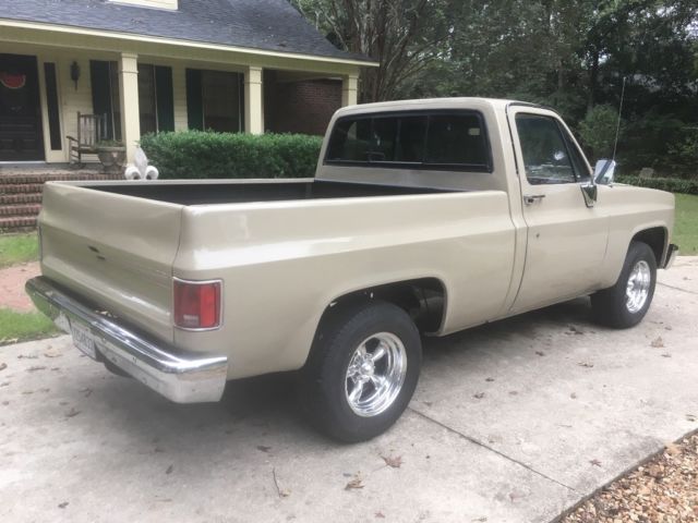 1985 Tan Chevrolet C-10 Standard Cab Pickup