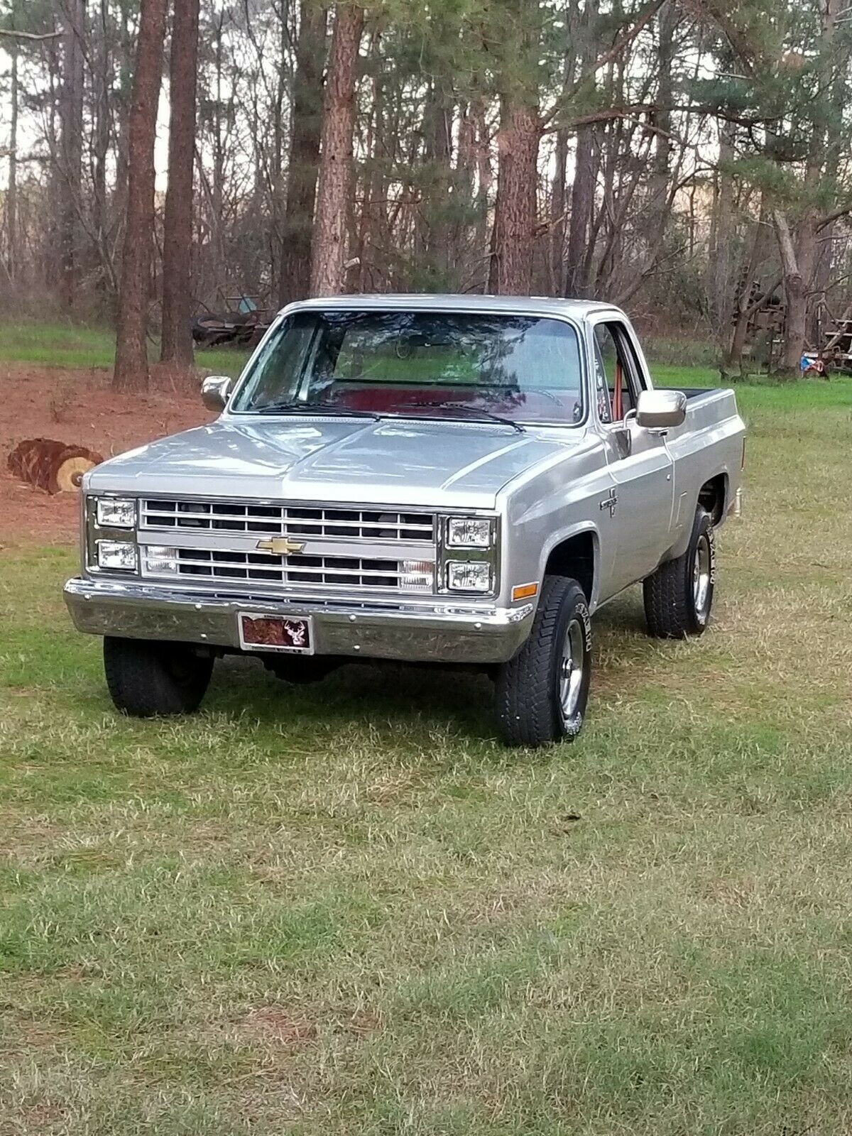 1985 Silver Chevrolet Other Pickups Standard Cab Pickup