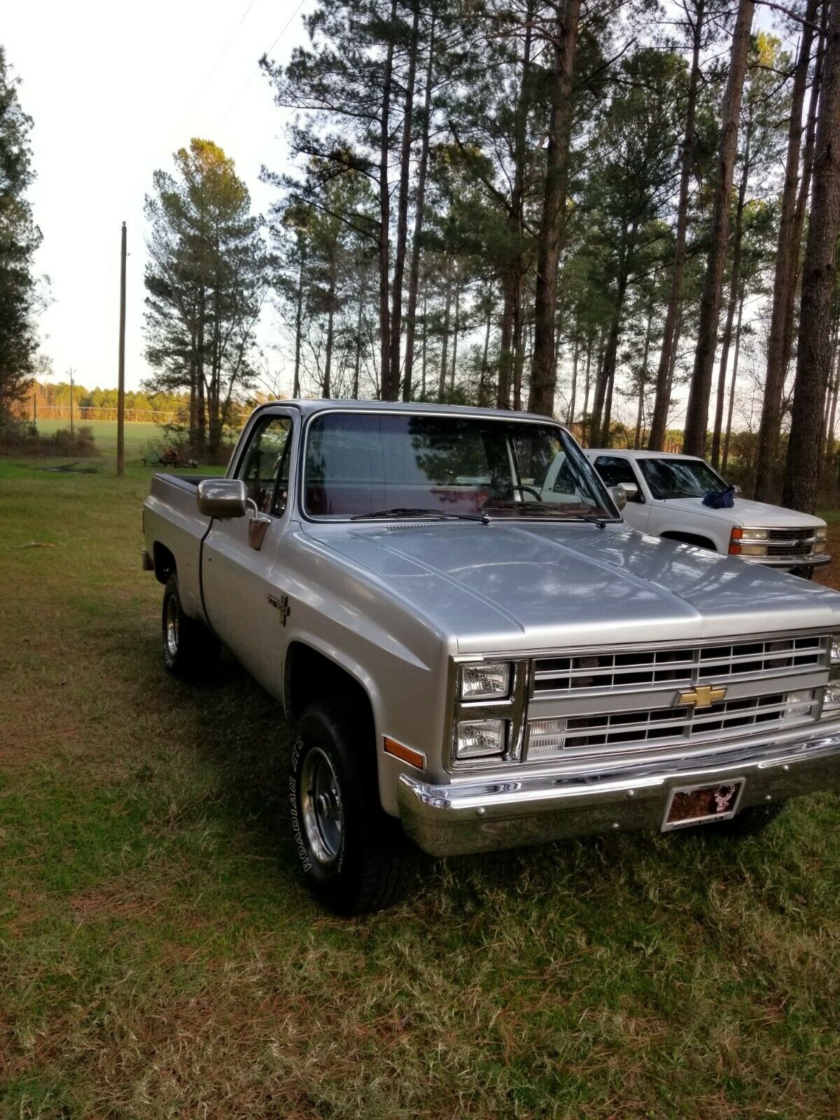 1985 Silver Chevrolet Other Pickups Standard Cab Pickup