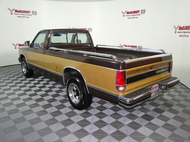 1985 Brown Chevrolet S-10 Single Cab 