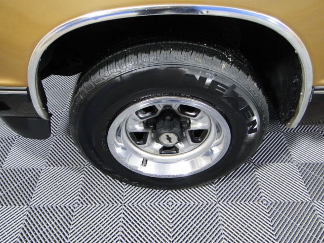 1985 Brown Chevrolet S-10 Single Cab 