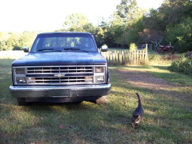 1985 Brown Chevrolet C/K Pickup 1500 Standard Cab Pickup