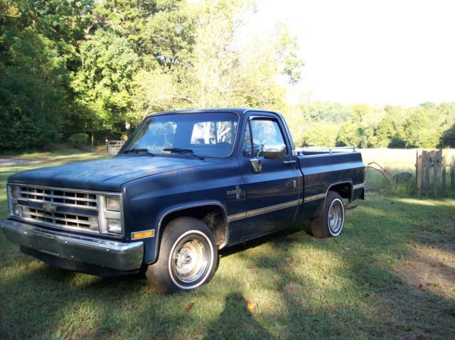 1985 Brown Chevrolet C/K Pickup 1500 Standard Cab Pickup