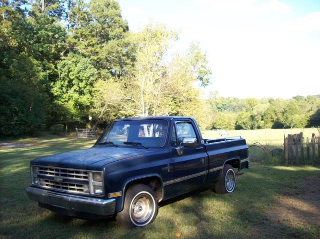 1985 Brown Chevrolet C/K Pickup 1500 Standard Cab Pickup