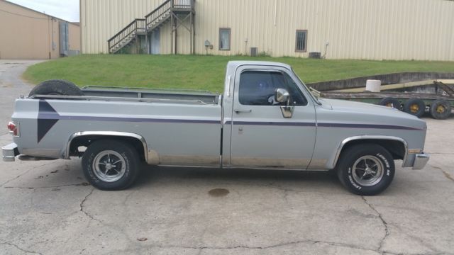 1985 Gray Chevrolet C-10 Standard Cab Pickup