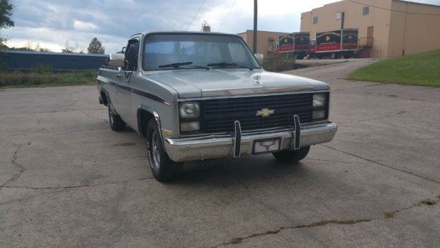 1985 Gray Chevrolet C-10 Standard Cab Pickup