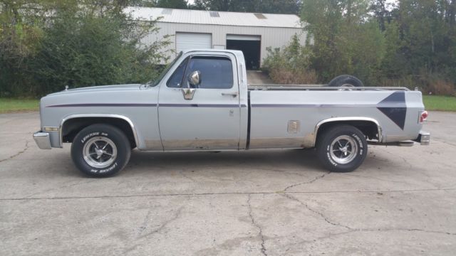 1985 Gray Chevrolet C-10 Standard Cab Pickup