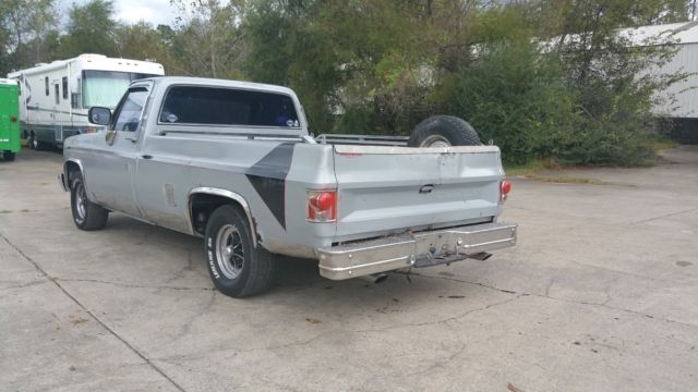 1985 Gray Chevrolet C-10 Standard Cab Pickup