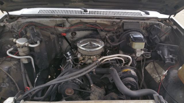 1985 Gray Chevrolet C-10 Standard Cab Pickup
