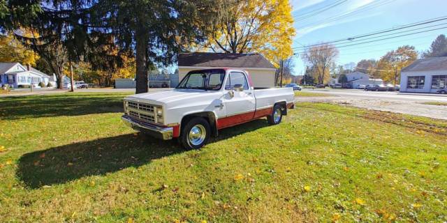 1985 White Chevrolet C-10 Standard Cab Pickup