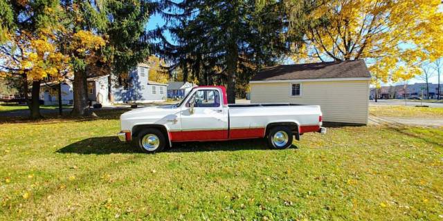 1985 White Chevrolet C-10 Standard Cab Pickup