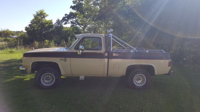 1985 Brown Chevrolet C/K Pickup 1500 Standard Cab Pickup