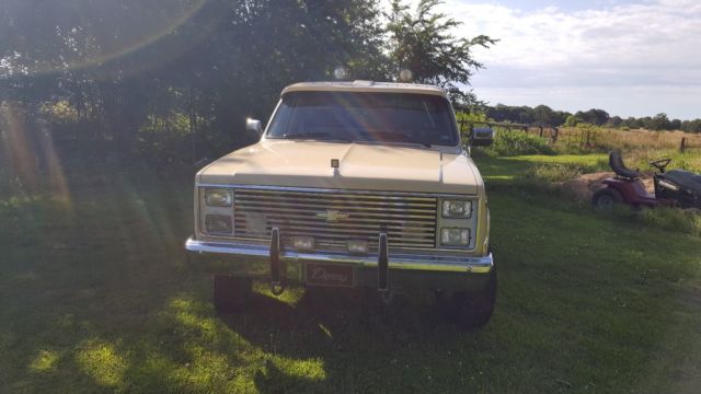 1985 Brown Chevrolet C/K Pickup 1500 Standard Cab Pickup