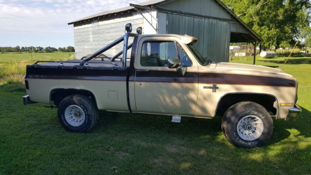 1985 Brown Chevrolet C/K Pickup 1500 Standard Cab Pickup