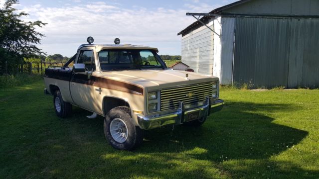 1985 Brown Chevrolet C/K Pickup 1500 Standard Cab Pickup