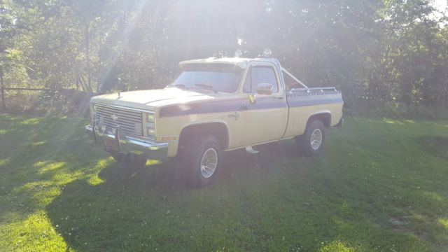 1985 Brown Chevrolet C/K Pickup 1500 Standard Cab Pickup