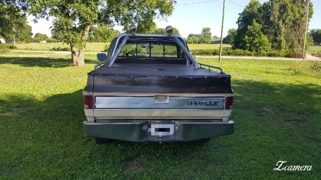 1985 Brown Chevrolet C/K Pickup 1500 Standard Cab Pickup