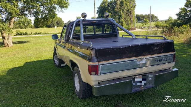 1985 Brown Chevrolet C/K Pickup 1500 Standard Cab Pickup