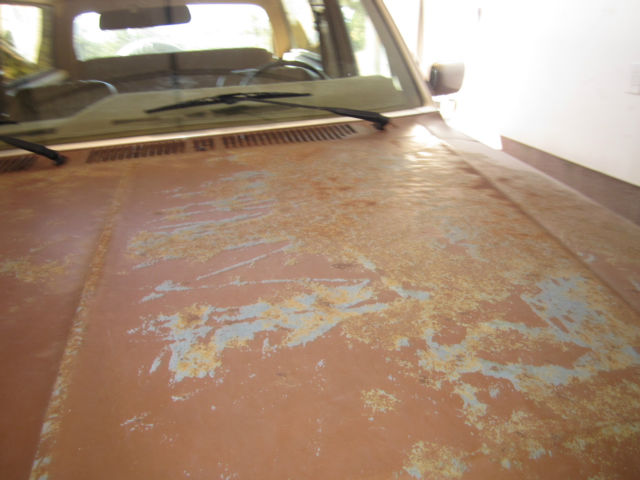 1985 Brown &amp- Tan Ford Bronco Bronco