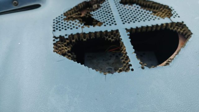 1985 Blue Ford F-150 Extended Cab Pickup