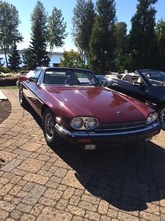 1985 Burgundy Jaguar XJS Convertible