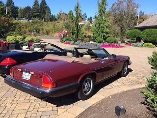 1985 Burgundy Jaguar XJS Convertible