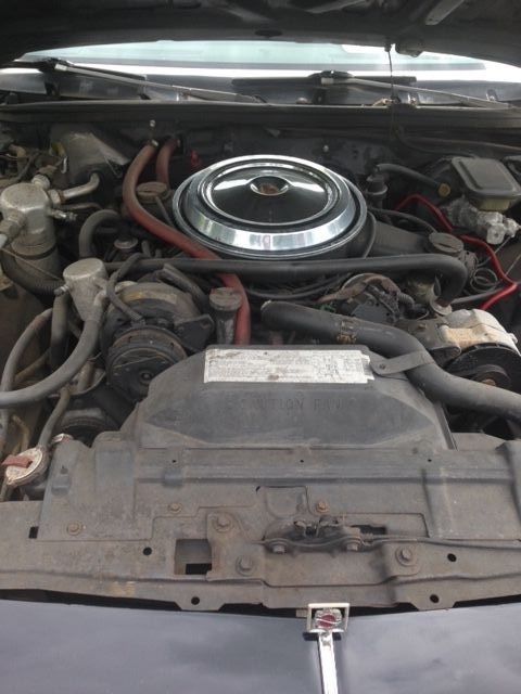 1985 Black Oldsmobile 442 Sedan