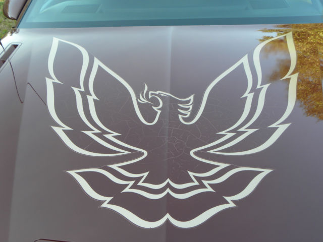 1985 MAROON Pontiac Firebird Coupe