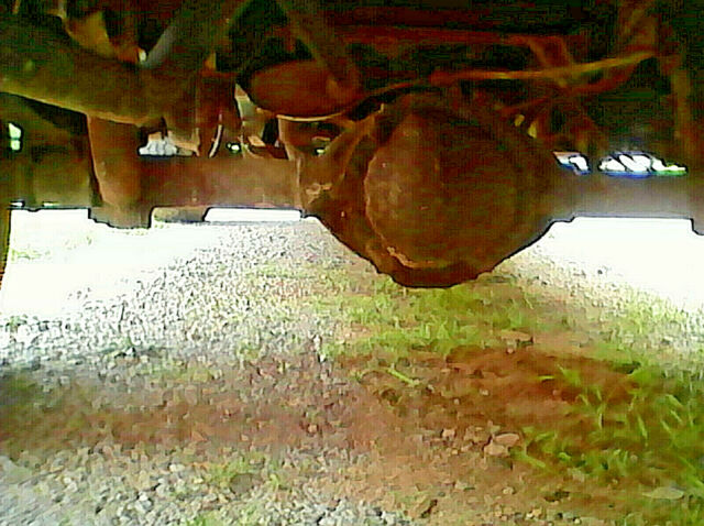 1986 Red Chevrolet C/K Pickup 1500 Standard Cab Pickup