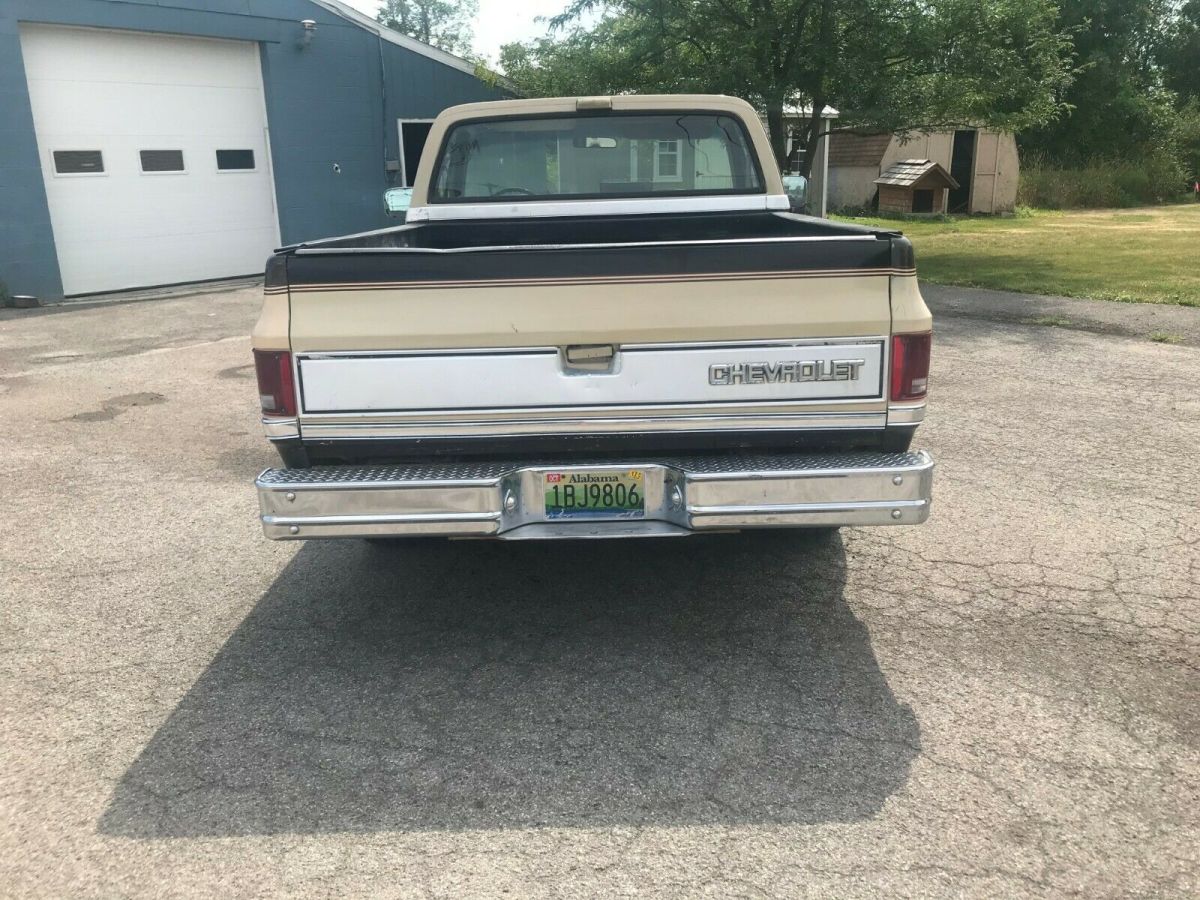 1986 Brown Chevrolet C-10