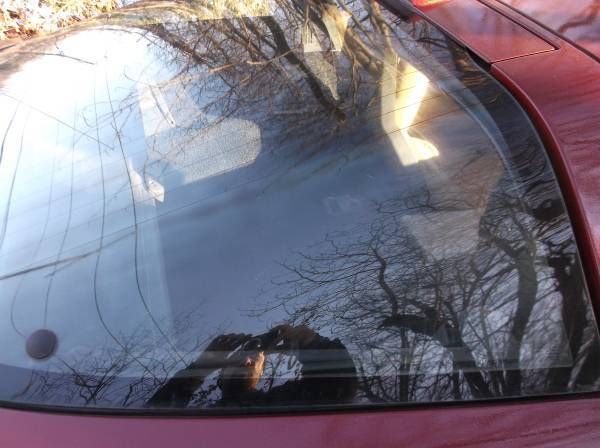 1986 maroon Chevrolet Corvette cp