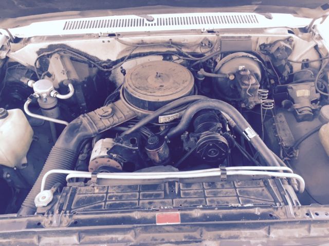 1986 white Chevrolet C-10 Cab & Chassis