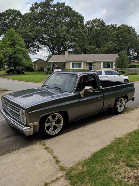 1986 Gray Chevrolet C-10 Standard Cab Pickup