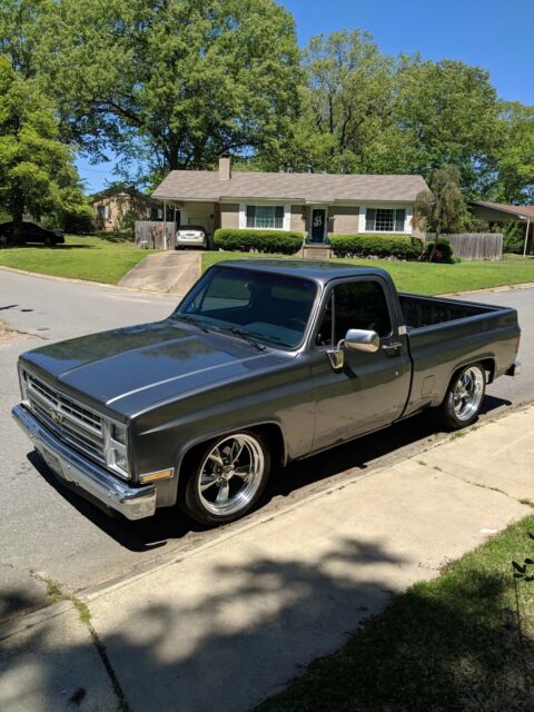 1986 Gray Chevrolet C-10 Standard Cab Pickup