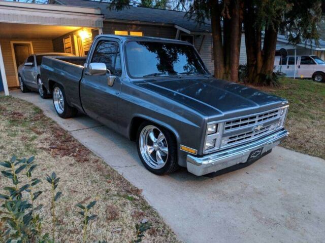 1986 Gray Chevrolet C-10 Standard Cab Pickup