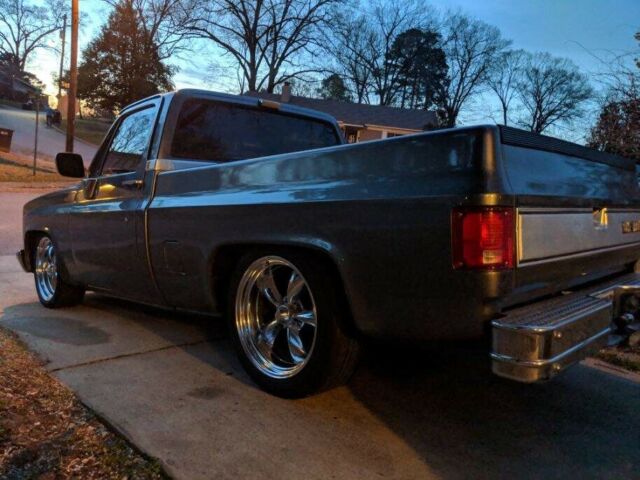 1986 Gray Chevrolet C-10 Standard Cab Pickup