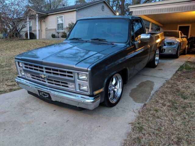 1986 Gray Chevrolet C-10 Standard Cab Pickup