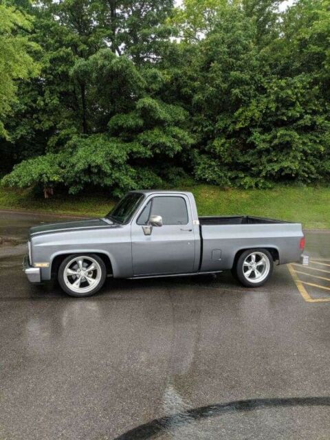 1986 Gray Chevrolet C-10 Standard Cab Pickup