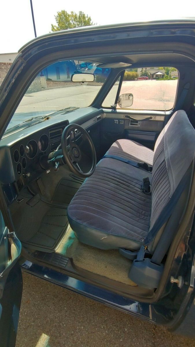 1986 Blue Chevrolet C-10 Standard Cab Pickup