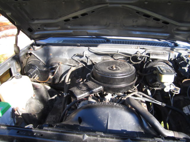 1986 Gray Chevrolet C-10 Standard Cab Pickup