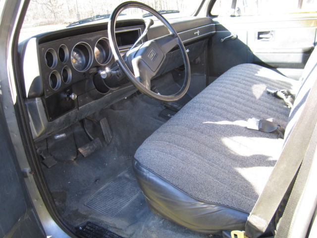 1986 Gray Chevrolet C-10 Standard Cab Pickup
