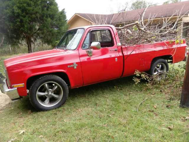 1986 Chevrolet C-10 Standard Cab Pickup