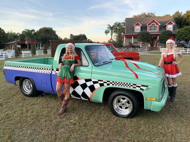 1986 Custom Chevrolet C-10 Standard Cab Pickup