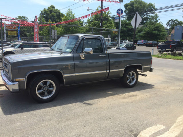 1986 Gray Chevrolet C-10 Standard Cab Pickup