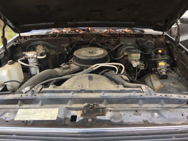 1986 Chevrolet C-10