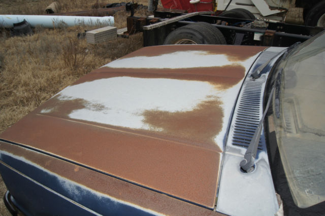 1986 Blue and Rust Chevrolet S-10 Standard Cab Pickup