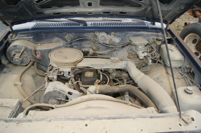 1986 Blue and Rust Chevrolet S-10 Standard Cab Pickup