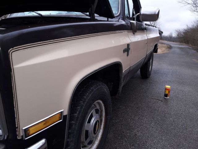 1986 Brown Chevrolet Other Standard Cab Pickup